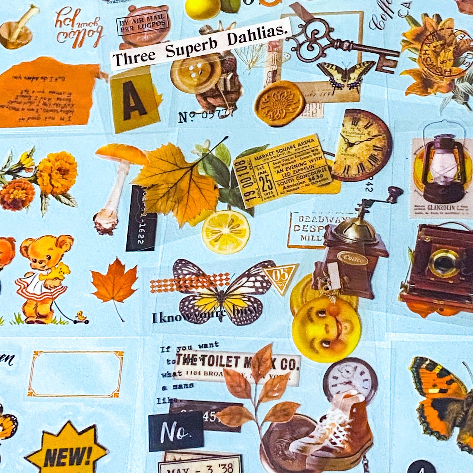 pack of vintage style clear sticker sheets featuring butterflies, flowers, labels and botanical illustrations on transparent background