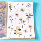 vintage floral clear sticker book with 20 pages of botanical flower stickers including rose, daisy, sunflowers and blossom.