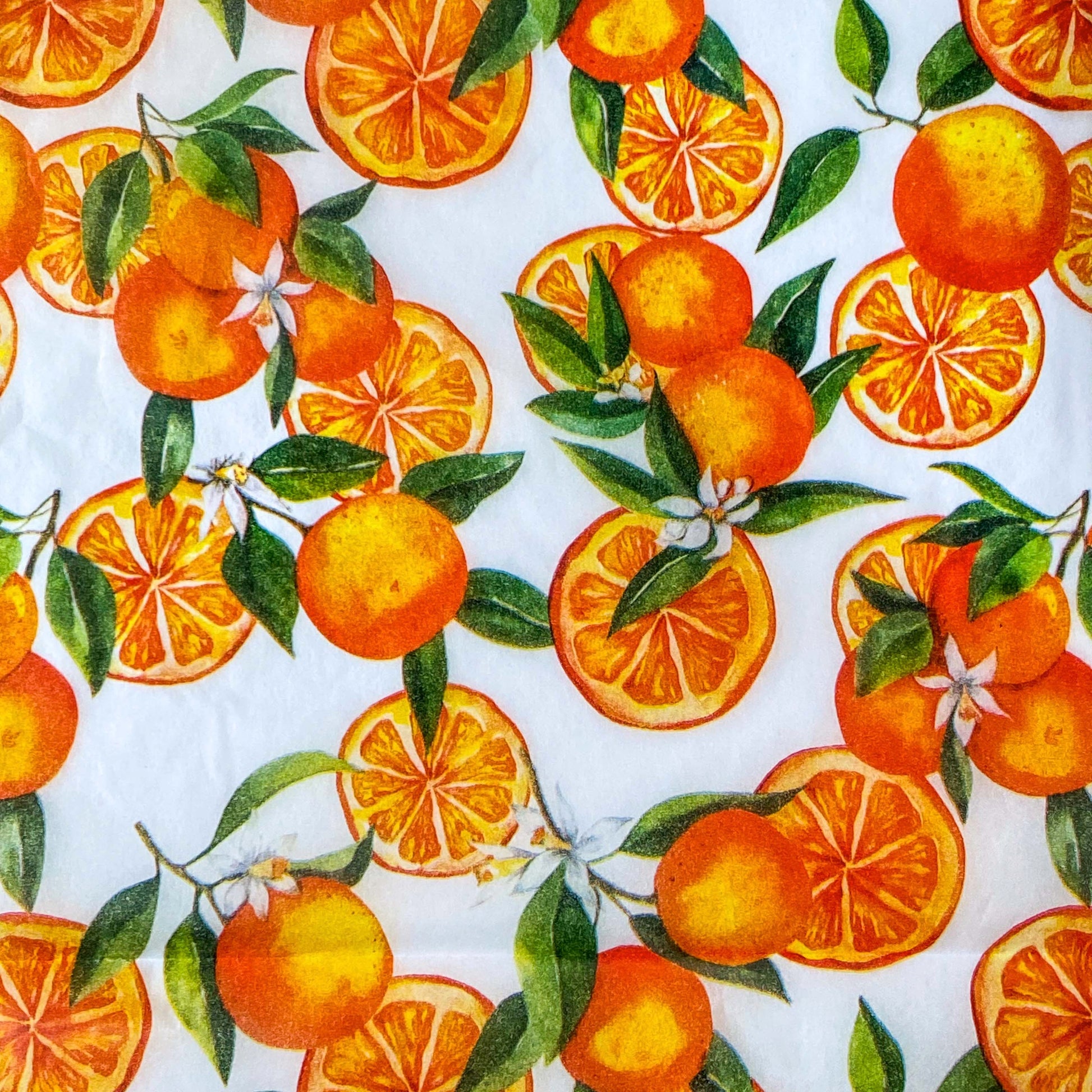 bright juicy orange fruits on white tissue paper sheets. Pack of 3 sheet in vibrant oranges and greens for summertime gifting. Uk packaging supplies. 