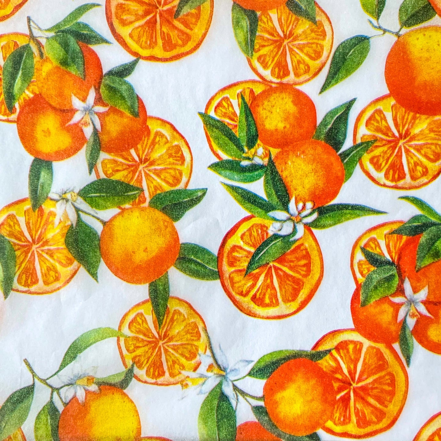 bright juicy orange fruits on white tissue paper sheets. Pack of 3 sheet in vibrant oranges and greens for summertime gifting. Uk packaging supplies. 