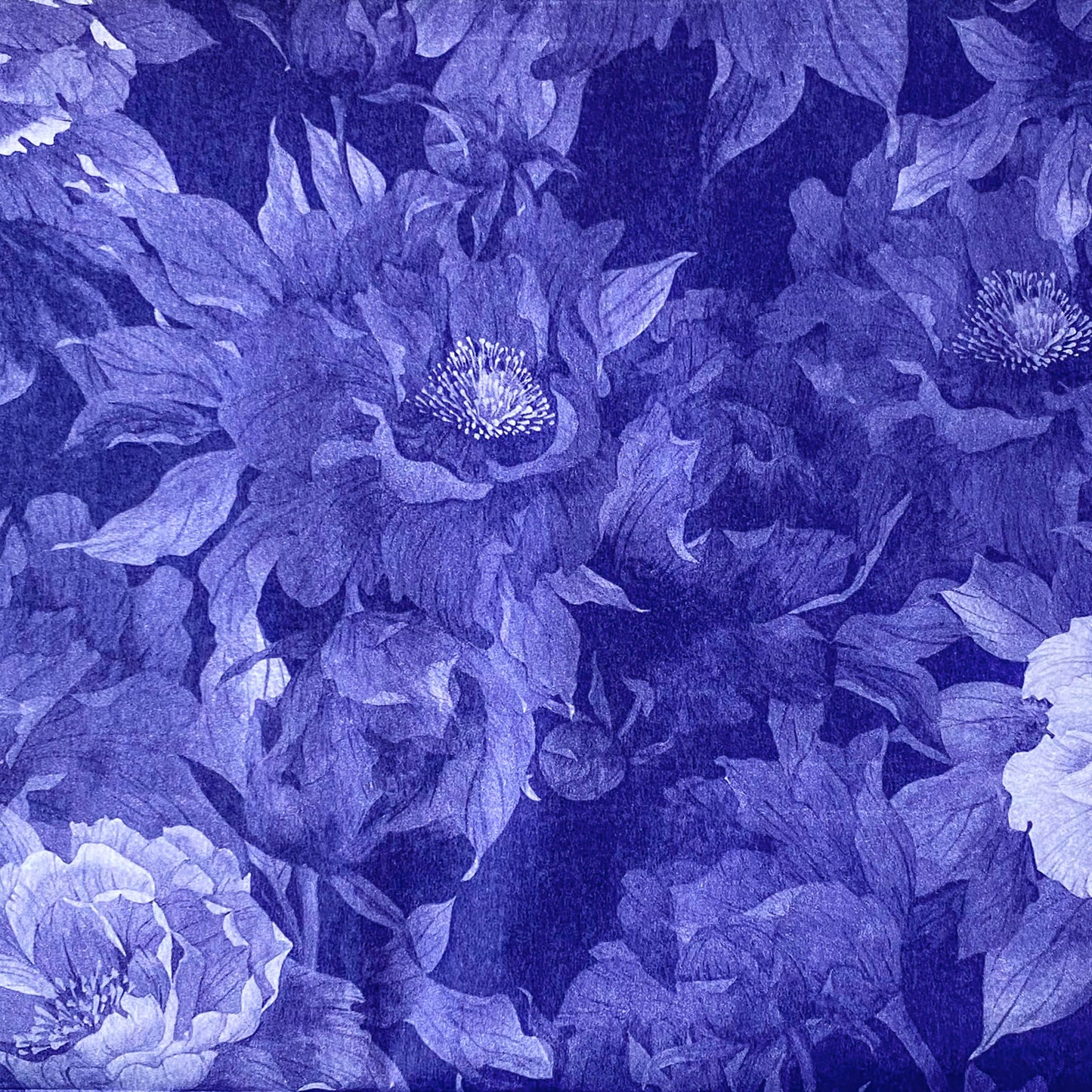 deep inky purple dark blue indigo floral pattern tissue paper with large poppies at midnight. Beautiful packaging papers from the Uk.