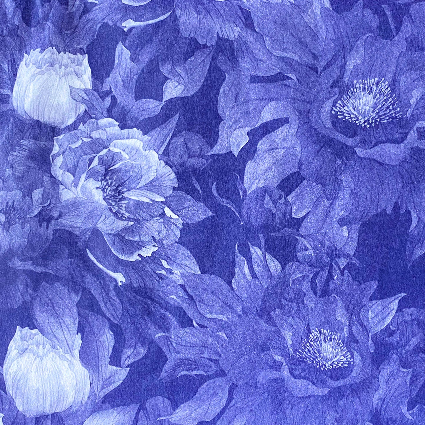 deep inky purple dark blue indigo floral pattern tissue paper with large poppies at midnight. Beautiful packaging papers from the Uk.