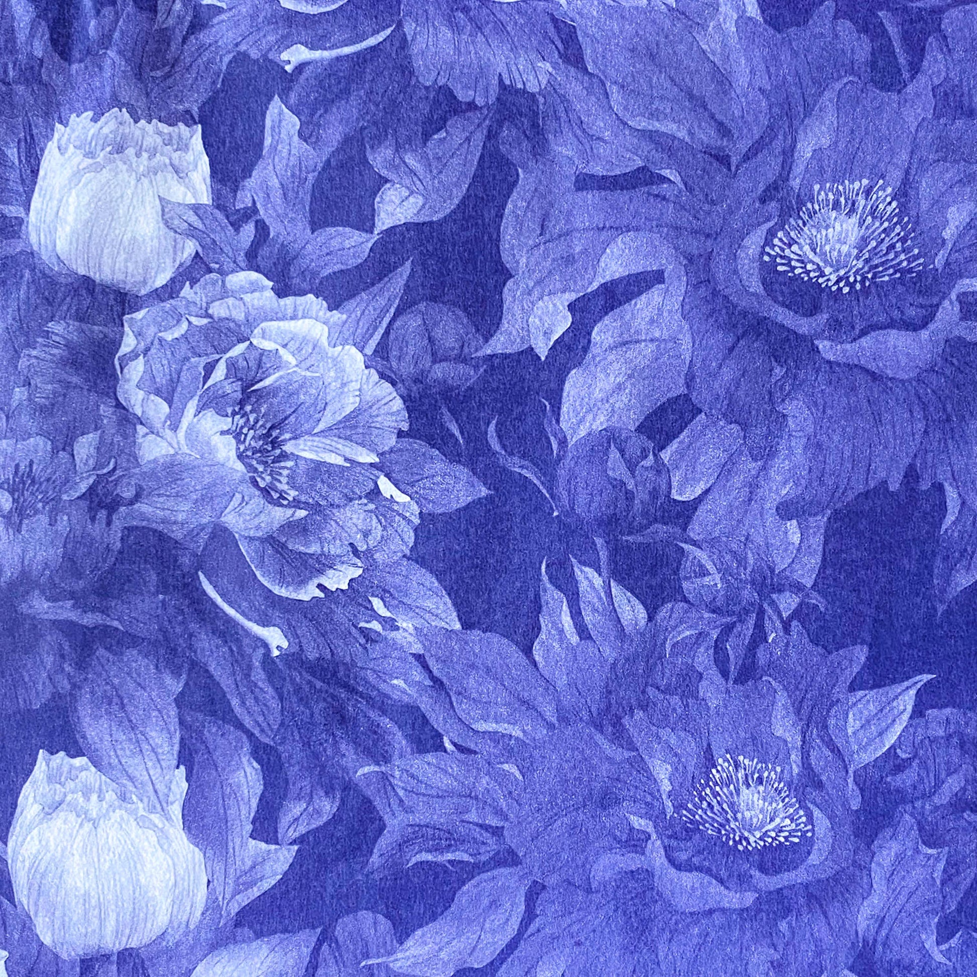 deep inky purple dark blue indigo floral pattern tissue paper with large poppies at midnight. Beautiful packaging papers from the Uk.