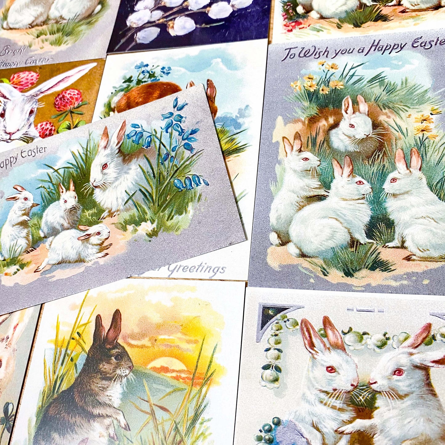 spring postcard postcards car cards greetings easter springtime flower flowers nature rabbit rabbits bunny bunnies nostalgia vintage retro old fashioned drawings sepia distressed chick uk cute kawaii stationery gifts sticker stickers seals envelopes envelope