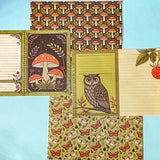 harvest mouse and bunny woodland gift set with illustrated pouch, botanical sticker book, ephemera sheets and berry brooch