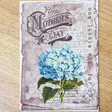 mother mother's day mothering sunday card cards postcard postcards greetings post card uk cute kawaii floral rose roses pretty sticker stickers seals envelopes kraft vintage style retro victorian antique bargain hydrangea blue pink red purple lilac