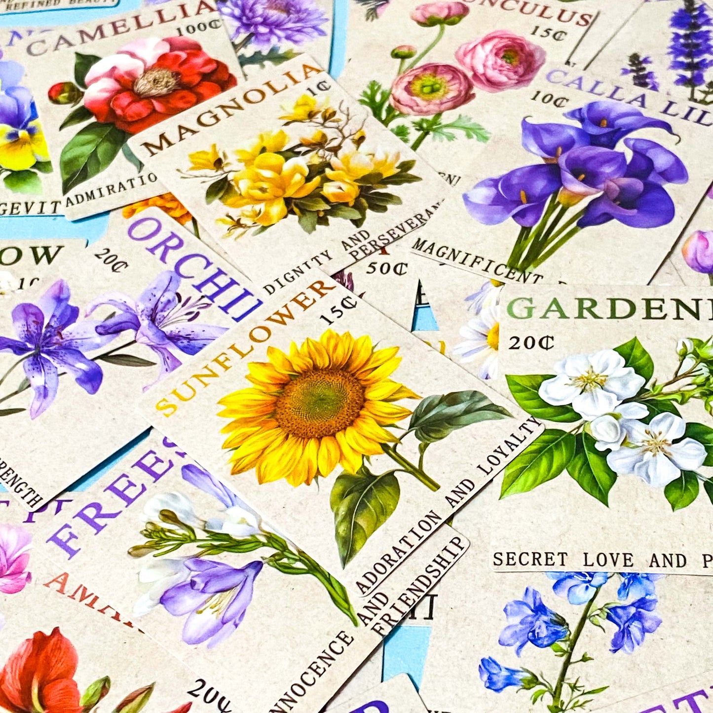 THE LANGUAGE OF FLOWERS Rectangular Stamp Large Stickers Pack of 50 For Scrapbooking, Journalling & Laptops