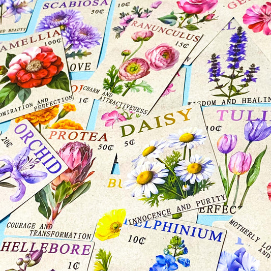 THE LANGUAGE OF FLOWERS Rectangular Stamp Large Stickers Pack of 50 For Scrapbooking, Journalling & Laptops
