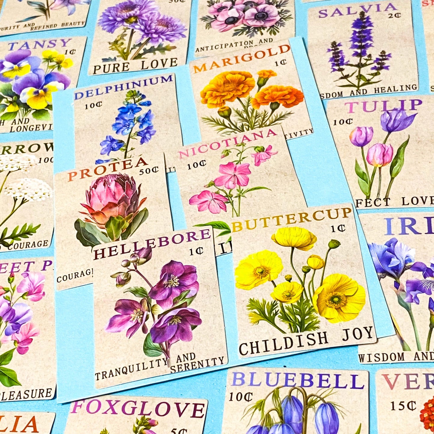 THE LANGUAGE OF FLOWERS Rectangular Stamp Large Stickers Pack of 50 For Scrapbooking, Journalling & Laptops