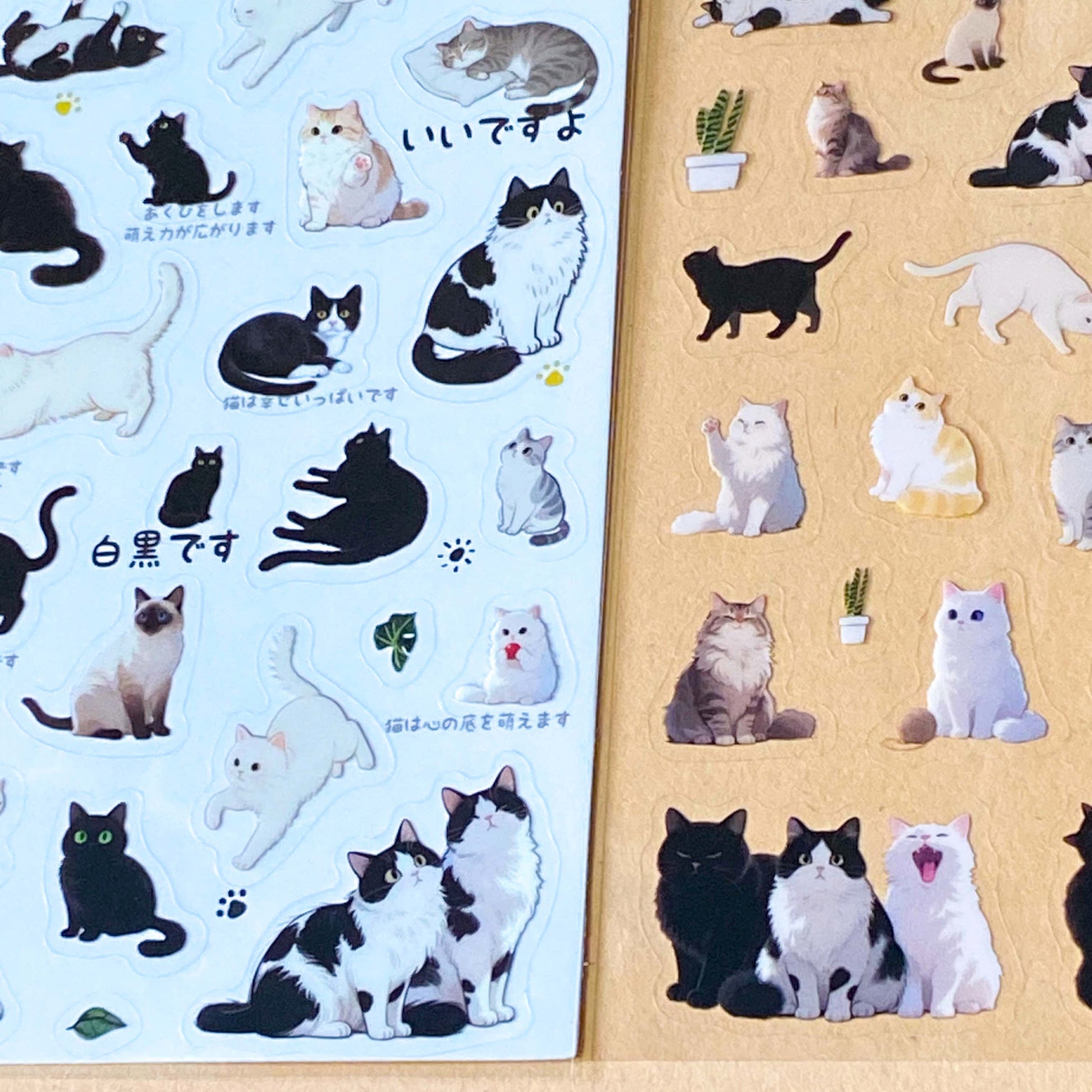 two sheet pack of clear PET sticker of black and white cats and grey tabby kittens for fun journaling and planner decoration