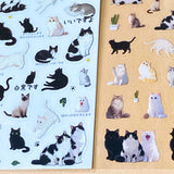 two sheet pack of clear PET sticker of black and white cats and grey tabby kittens for fun journaling and planner decoration