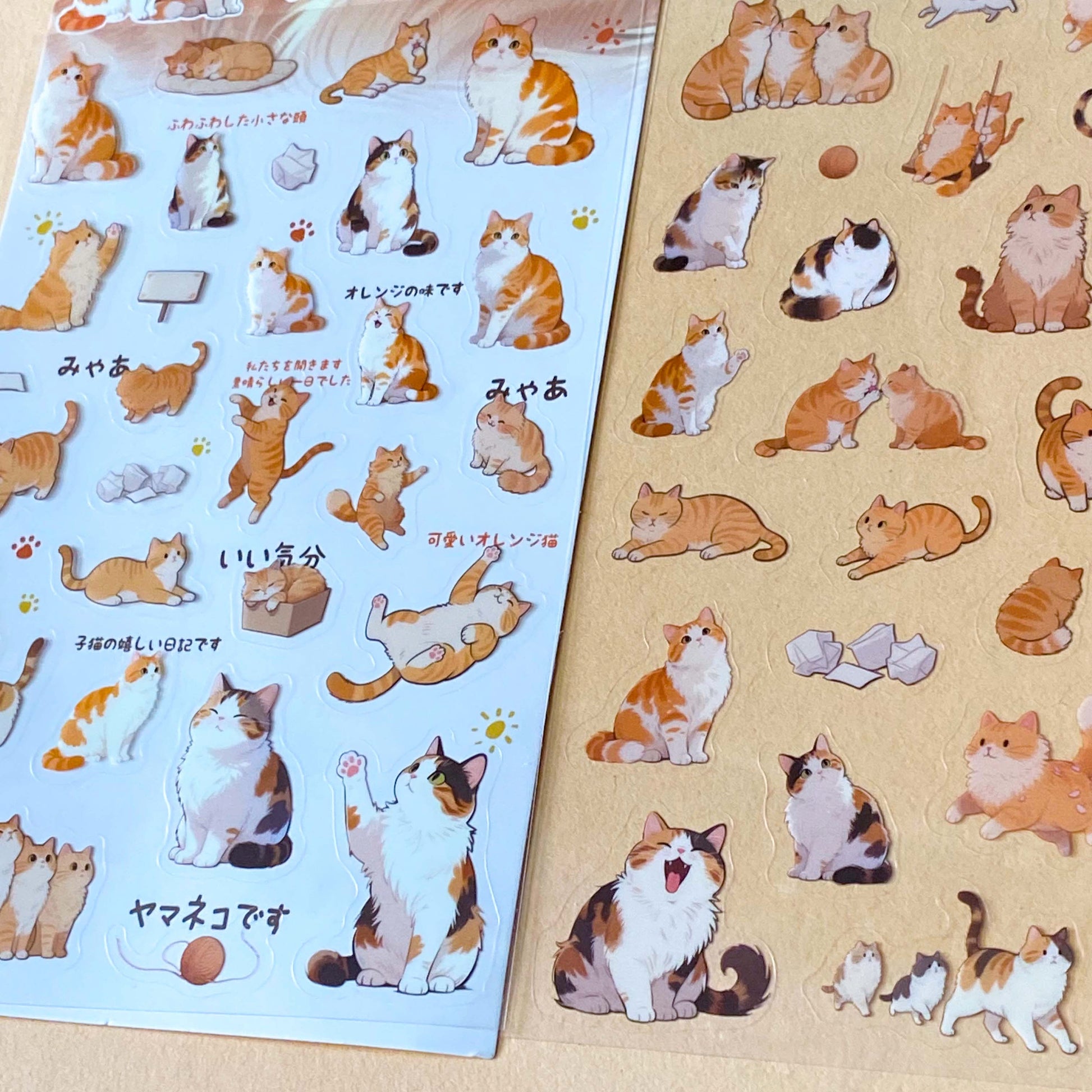 ginger and white and tortoiseshell kittens stickers clear sheets PET plastic with cat illustrations