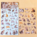 two sheet pack of pedigree cats stickers PET clear plastic including siamese, bengal and ginger cats having fun. uk cute kawaii stationery shop and planner supplies