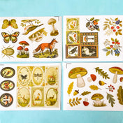 set of 4 woodland botanical glossy sticker sheets featuring mushrooms, fox, rabbit, butterflies and vintage nature illustrations on a blue background