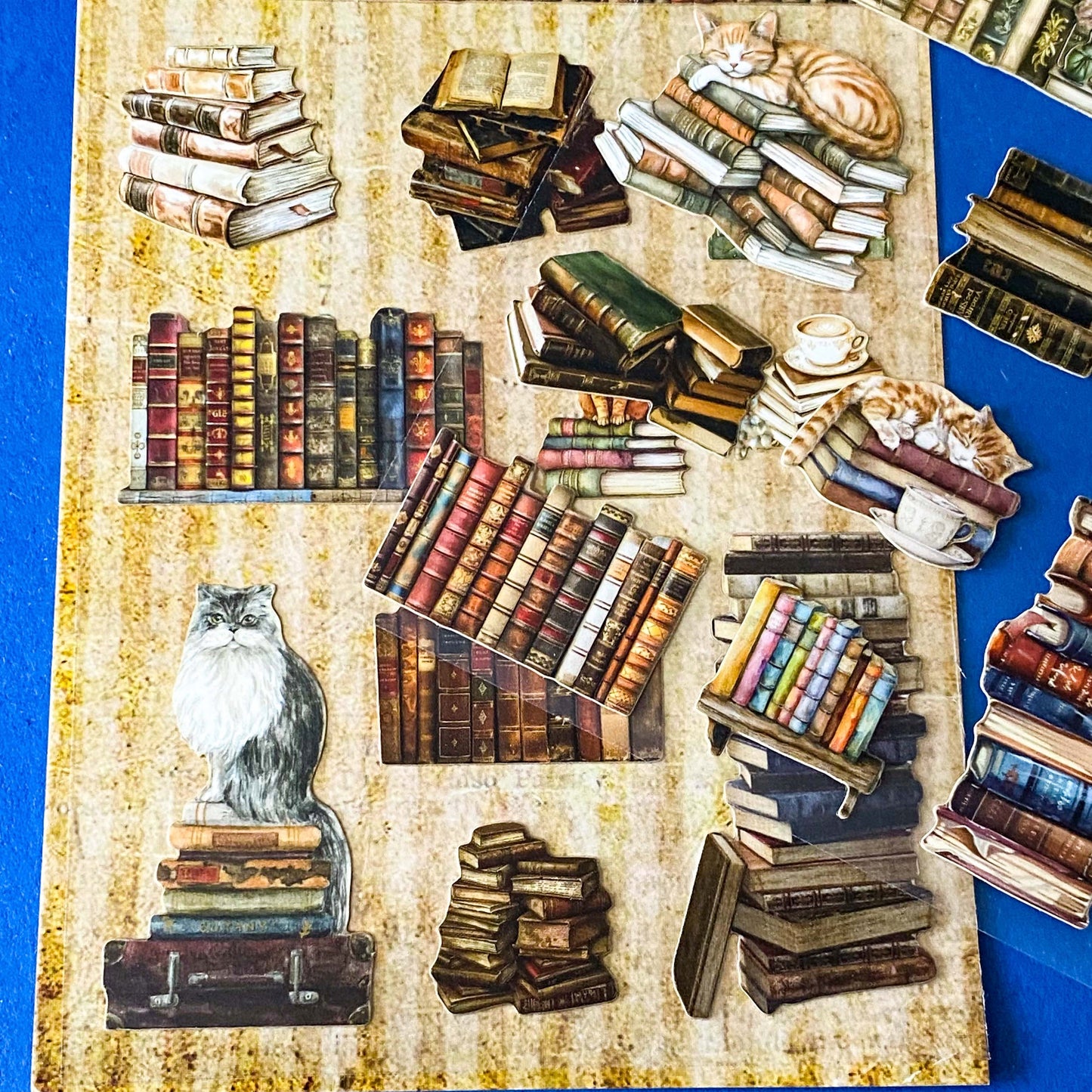 cats in the library vintage aesthetic card stickers on clear plastic backing sheet. victorian book stacks and furry cat illustrations