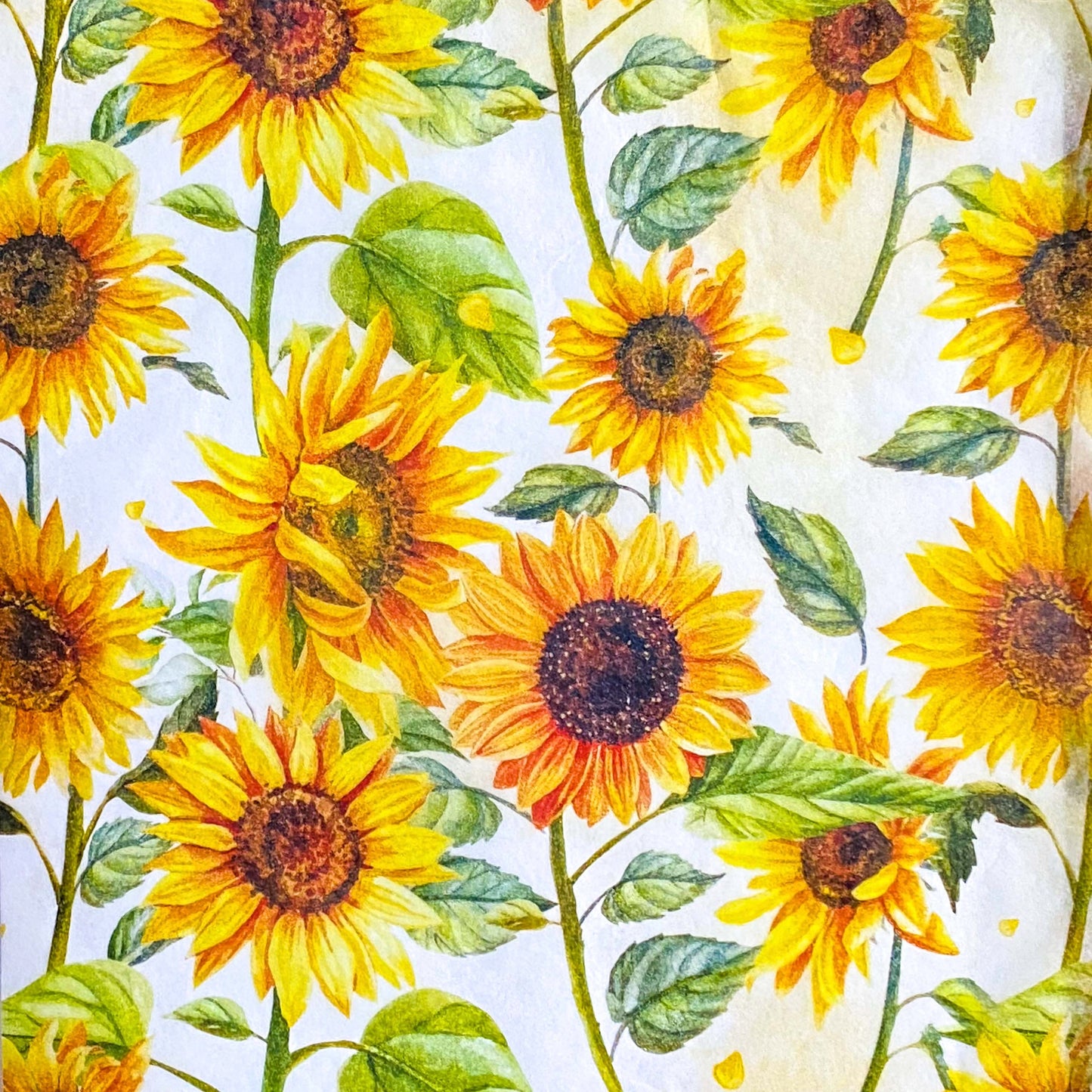 pack of 3 sheets sunflower tissue paper with orange and yellow flowers and green leaves. uk gift packaging supplies and wrap.