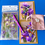 botanical iris letterbox gift set with waterproof floral pouch, purple metal pen, enamel iris brooch in pink velvet bag, clear floral stickers and hummingbird greetings cards. purple, deep jewel blue, lilac and magenta coloured flowers.