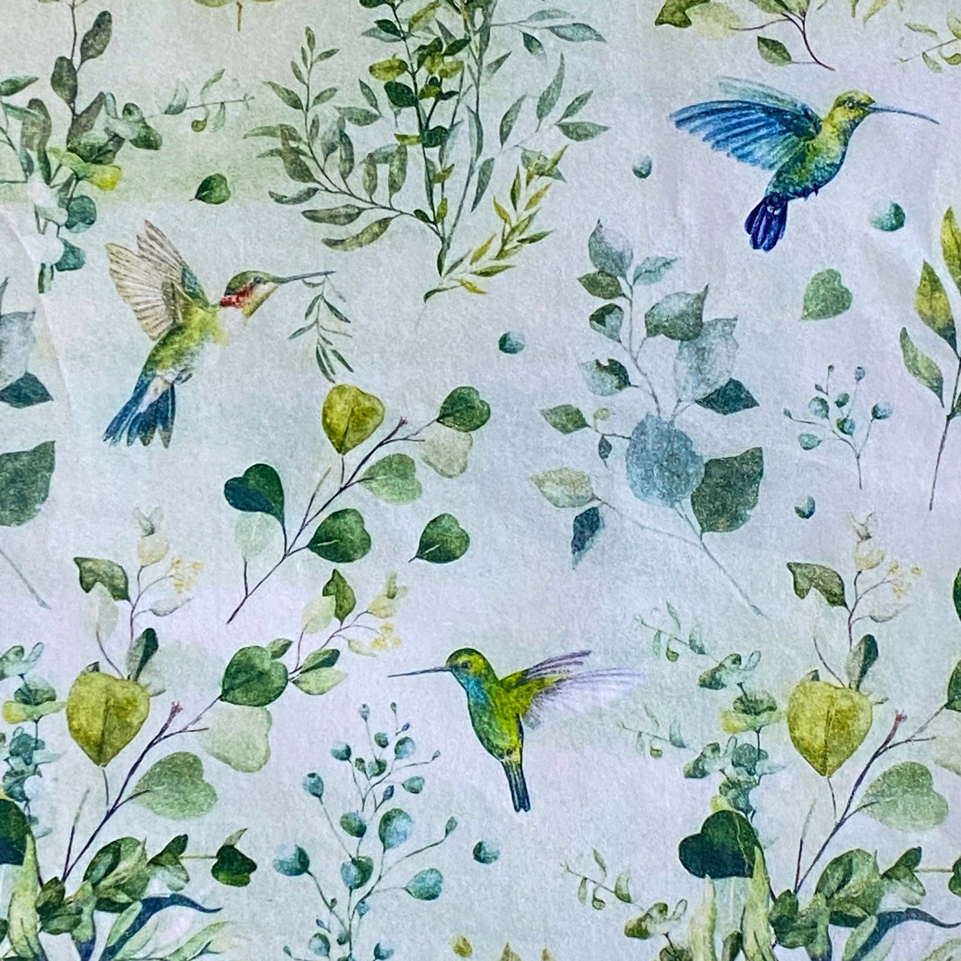jungle hummingbird birds green tissue paper patterned sheets pack from uk store.
