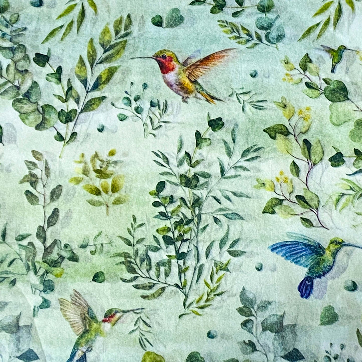 jungle hummingbird birds green tissue paper patterned sheets pack from uk store.