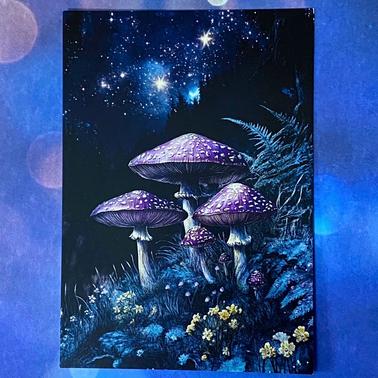 bewitched magic magical postcard post card cards uk cute kawaii witch witchcraft spooky haunted halloween individual dark deep colours purple blue yellow broom books potion mouse mice haunted house woods woodland stationery shop store pretty mushroom toadstool mushrooms lilac enchanted moon doorway
