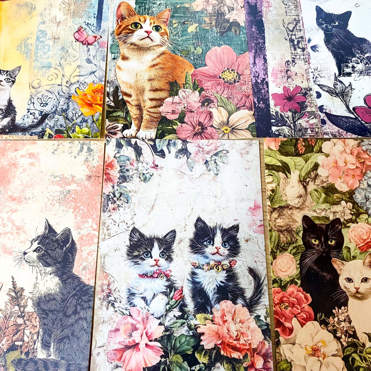 vintage retro antique style cat cats postcard postcards bundle of 4 old blank cards post card uk cute kawaii pretty stationery shop store planner addict set kitty kittens sepia floral flowers
