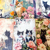 vintage retro antique style cat cats postcard postcards bundle of 4 old blank cards post card uk cute kawaii pretty stationery shop store planner addict set kitty kittens sepia floral flowers