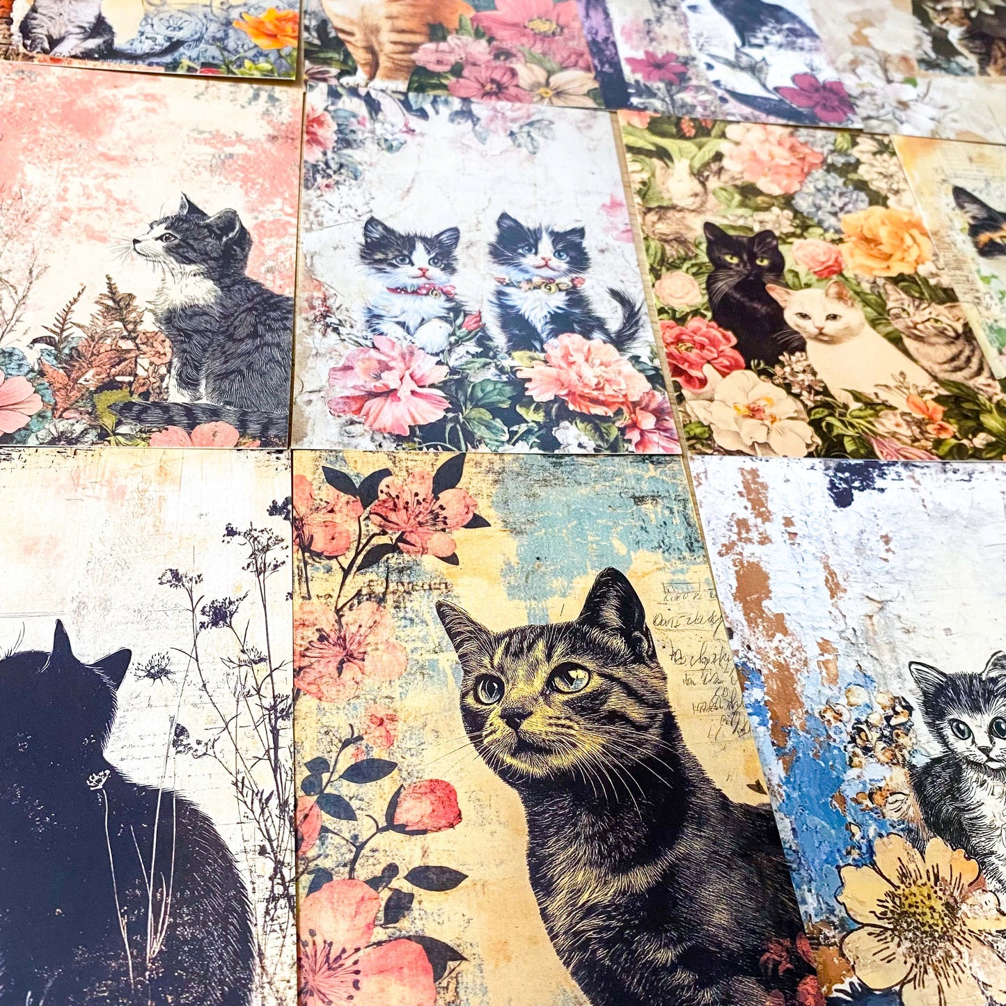 vintage retro antique style cat cats postcard postcards bundle of 4 old blank cards post card uk cute kawaii pretty stationery shop store planner addict set kitty kittens sepia floral flowers
