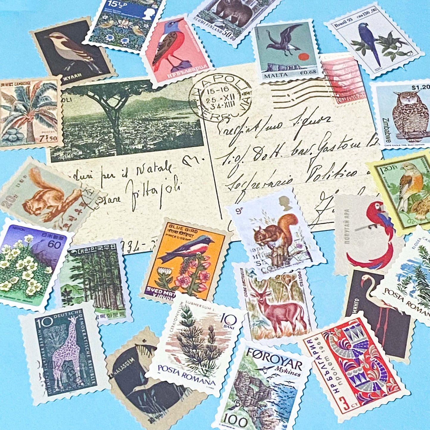 set of vintage style postage stamp stickers featuring birds, animals and plants on matte paper for journalling and scrapbooking