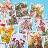 set of 24 vintage flower fairy alphabet stickers featuring botanical fairy illustrations with letters, satin finish and rounded corners