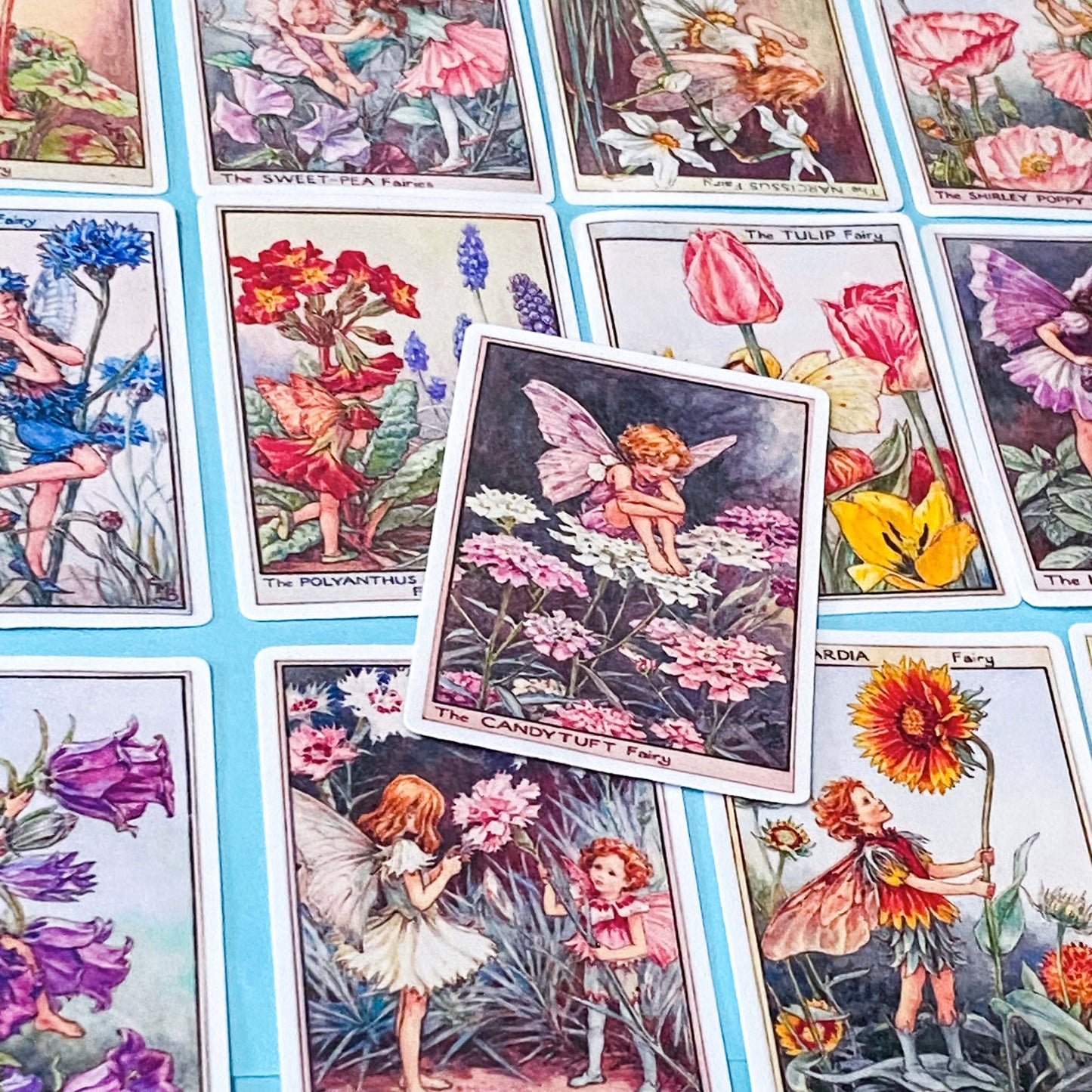 set of 16 large vintage style flower fairy satin stickers featuring botanical illustrations of fairies with flowers including lavender, tulip and poppy, with rounded corners