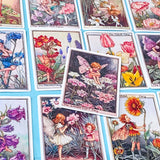 set of 16 large vintage style flower fairy satin stickers featuring botanical illustrations of fairies with flowers including lavender, tulip and poppy, with rounded corners