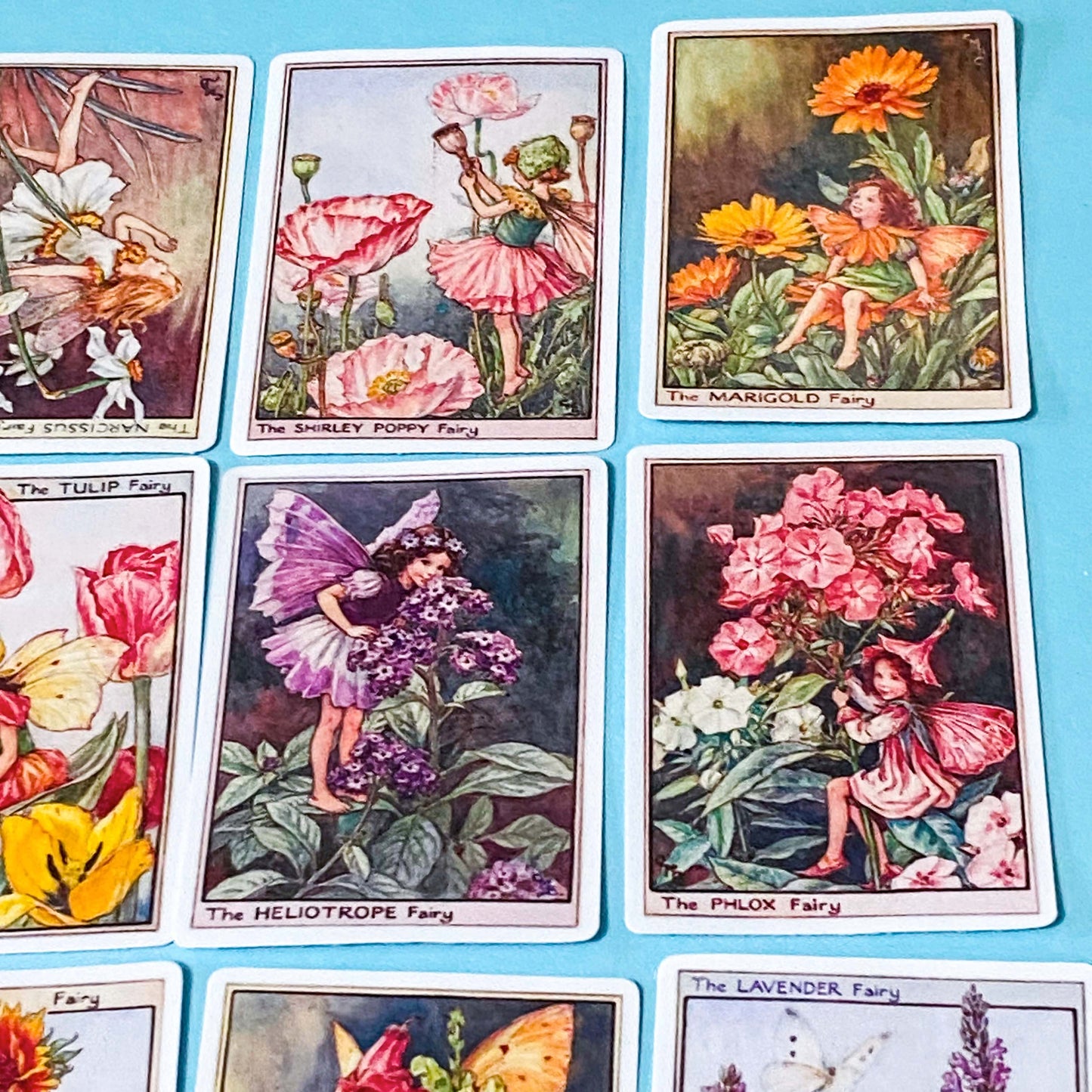 set of 16 large vintage style flower fairy satin stickers featuring botanical illustrations of fairies with flowers including lavender, tulip and poppy, with rounded corners