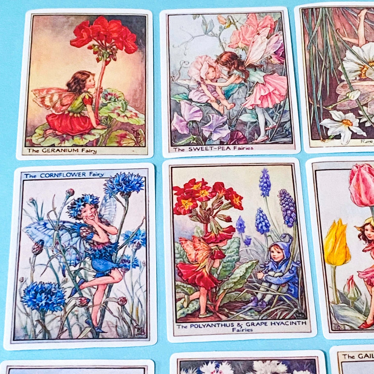 set of 16 large vintage style flower fairy satin stickers featuring botanical illustrations of fairies with flowers including lavender, tulip and poppy, with rounded corners