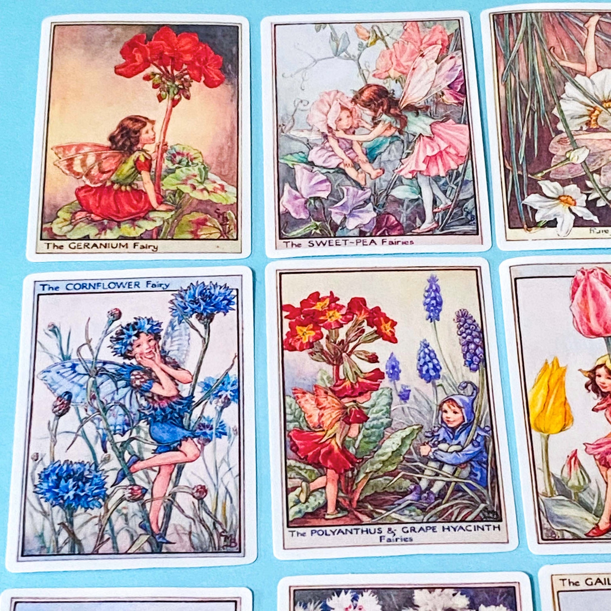 set of 16 large vintage style flower fairy satin stickers featuring botanical illustrations of fairies with flowers including lavender, tulip and poppy, with rounded corners