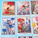 set of 16 large vintage style flower fairy satin stickers featuring botanical illustrations of fairies with flowers including lavender, tulip and poppy, with rounded corners
