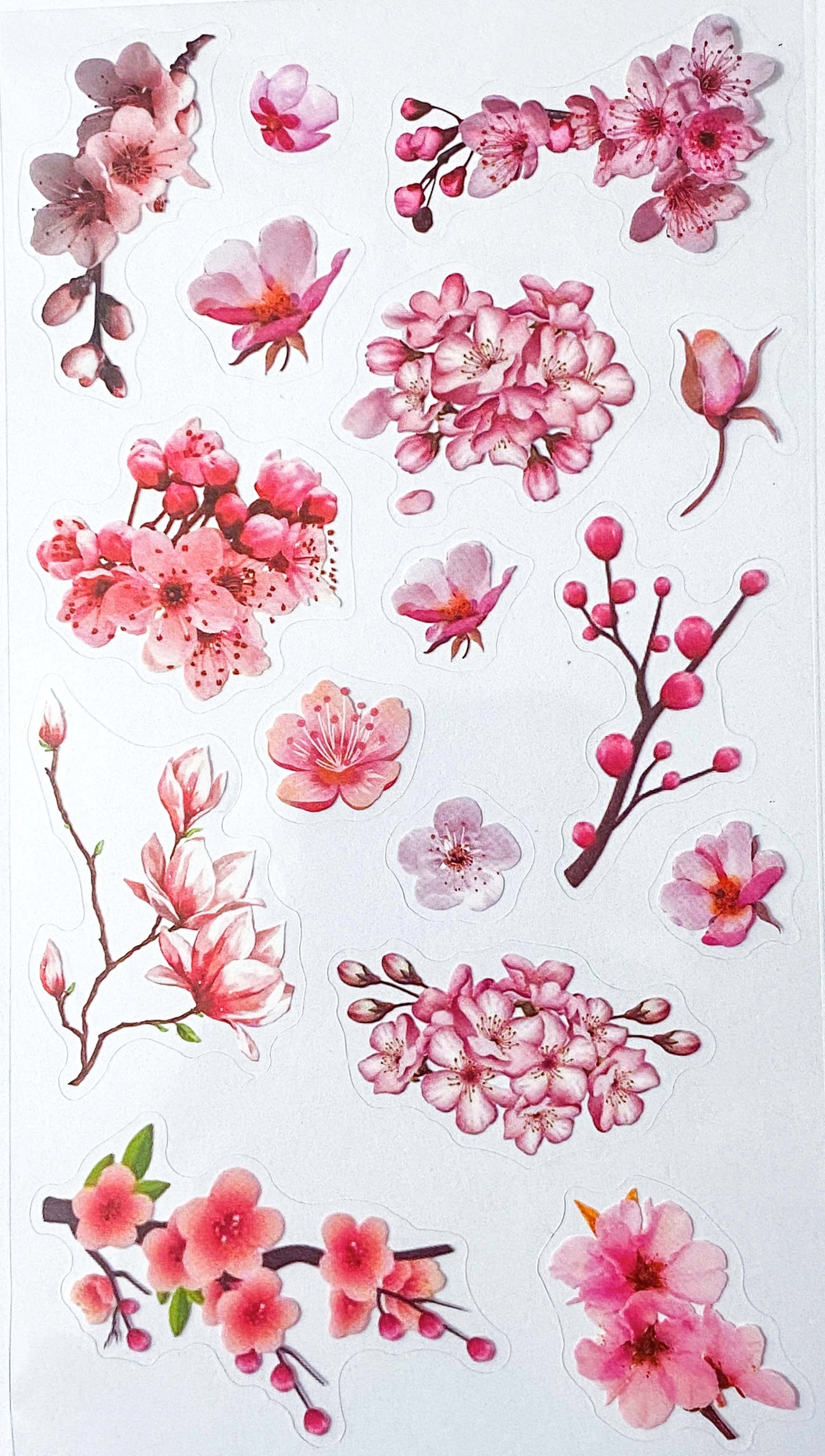 clear plastic cherry blossom blossoms pink white flower flowers floral sticker stickers pack sheet uk cute kawaii pretty stationery store shop planner supplies addict delicate bloom blooms spring springtime