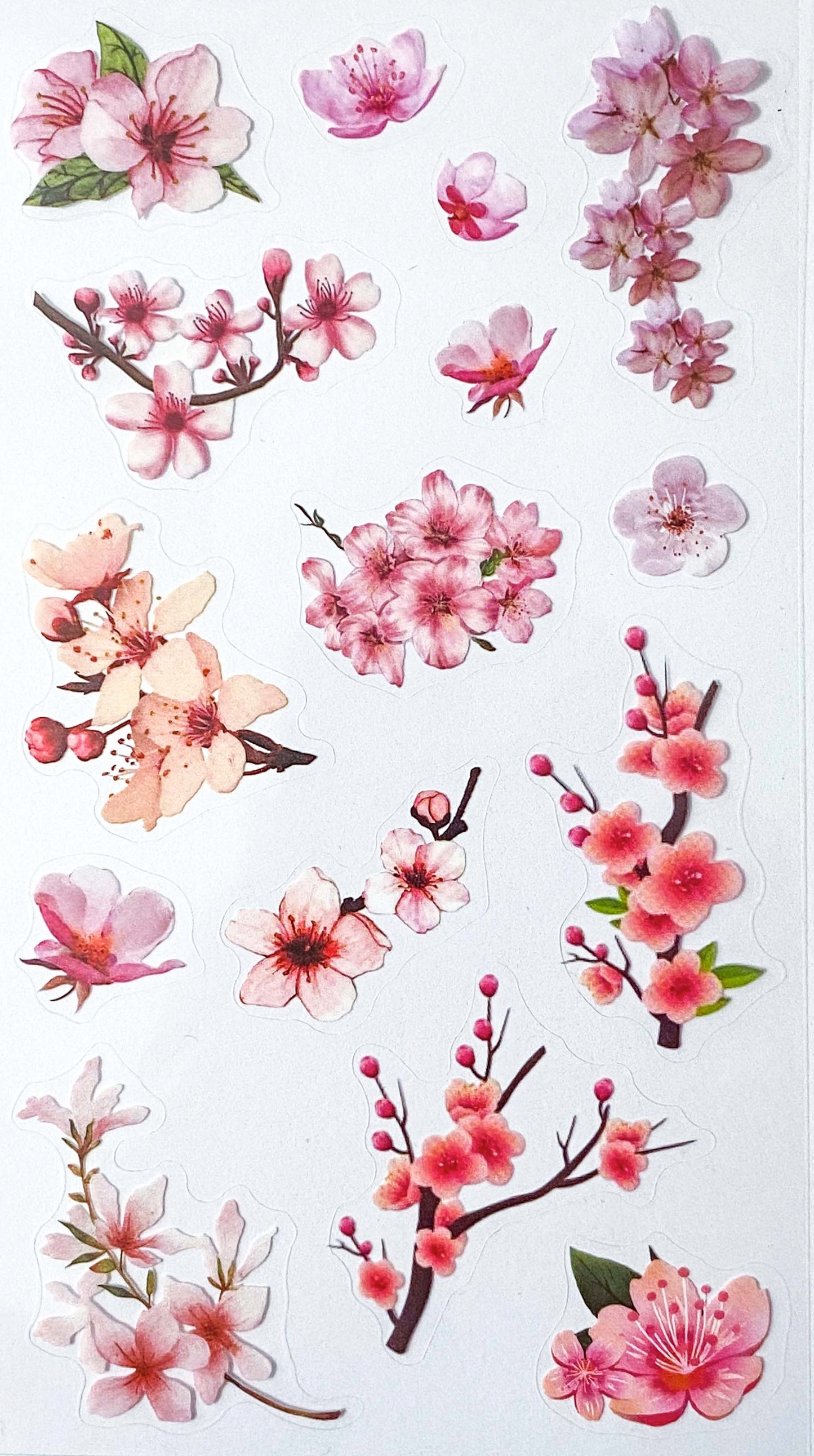 clear plastic cherry blossom blossoms pink white flower flowers floral sticker stickers pack sheet uk cute kawaii pretty stationery store shop planner supplies addict delicate bloom blooms spring springtime