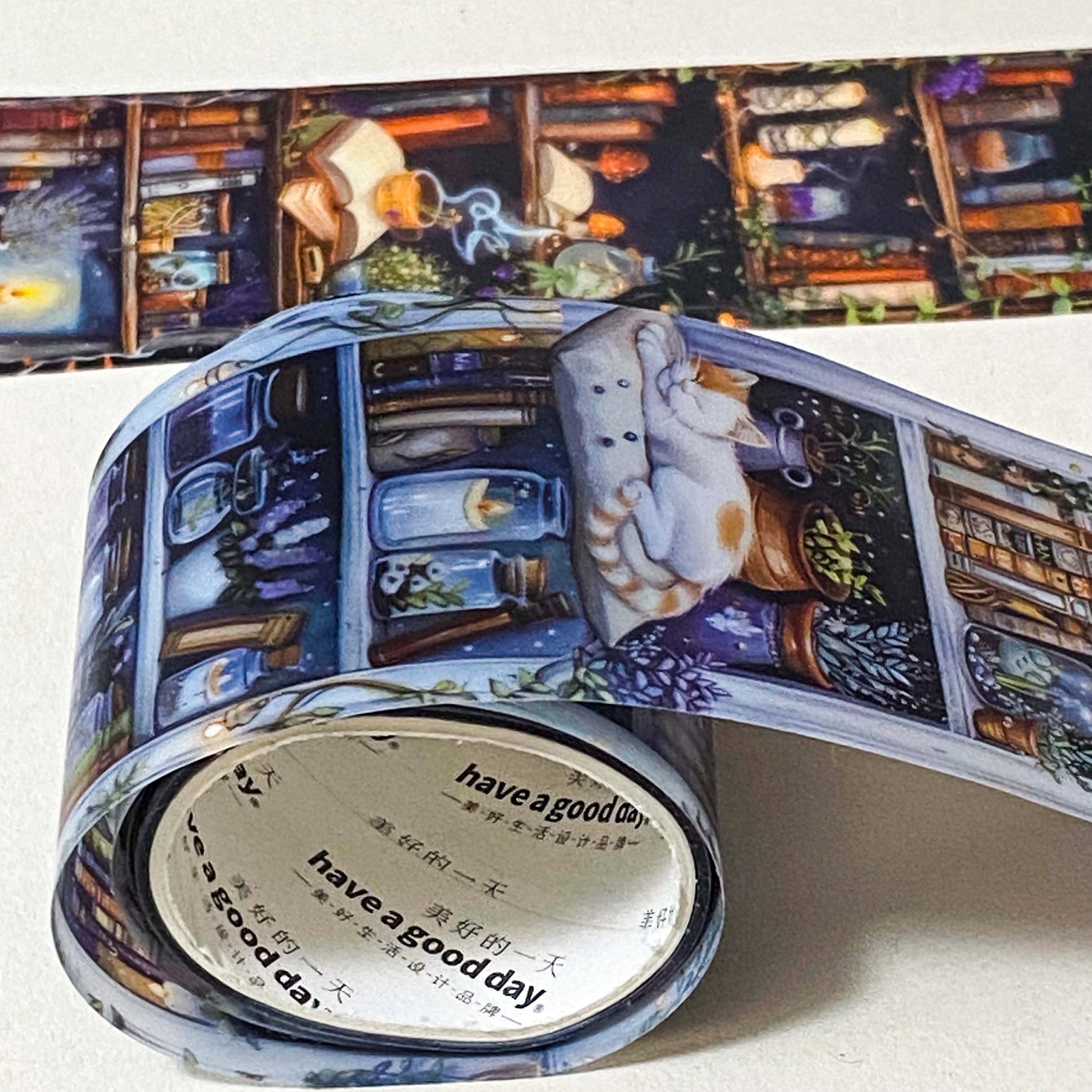 wide 40mm 4cm bookshelf clear washi tape panel with candles, books, plants and sleeping cats in warm and cool tones