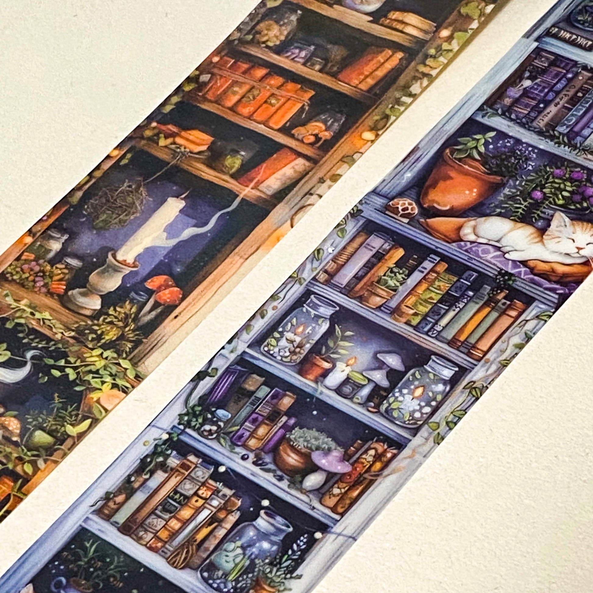 wide 40mm 4cm bookshelf clear washi tape panel with candles, books, plants and sleeping cats in warm and cool tones