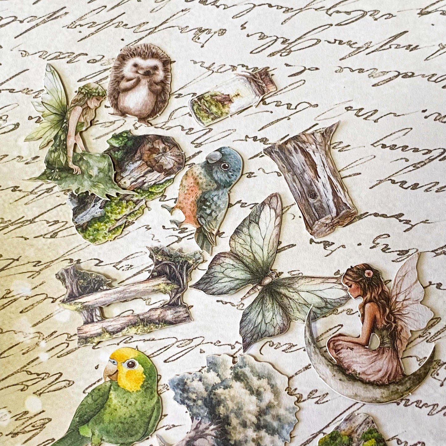 mini tin of 60 card stickers in an enchanted forest theme with mushrooms, berries, birds, books, butterflies, tree stumps and diamond rings