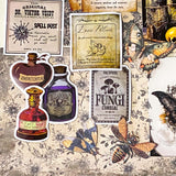 witchy apothecary ephemera bundle with potion vial, vintage herb cards, gothic stickers, insect illustrations and scrapbook papers arranged on botanical background