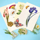 vintage botanical postcards fanned out with floral illustrations, die cuts and flower stickers nature stationery set