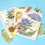 vintage botanical postcards fanned out with floral illustrations, die cuts and flower stickers nature stationery set