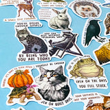 set of 50 animal positive quote stickers with affirmations featuring illustrated wildlife including cats, toads, tortoises, rabbits and hedgehogs on a soft blue background
