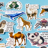 set of 50 animal positive quote stickers with affirmations featuring illustrated wildlife including frogs, llamas, giraffes, chinchillas and spiders on a soft blue background