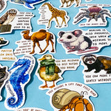Animal Positive Quote Stickers Set- 50 Vinyl Stickers- Cute Wildlife Affirmations- Journaling, Laptop, Scrapbooking