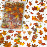 autumn wood woodland leaves leaf pretty stickers sticker sheet pack clear plastic pet uk cute kawaii stationery supplies planner addict store shop orange brown gold yellow pumpkin pumpkins halloween mushroom fungi toadstool squirrel acorn butterfly set