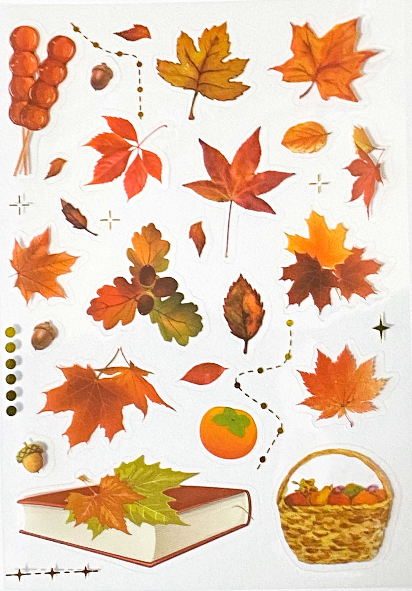 Just 60p! AUTUMN WOODLAND Clear Plastic Sticker Sheet/s 8 or Pack Leaf Leaves