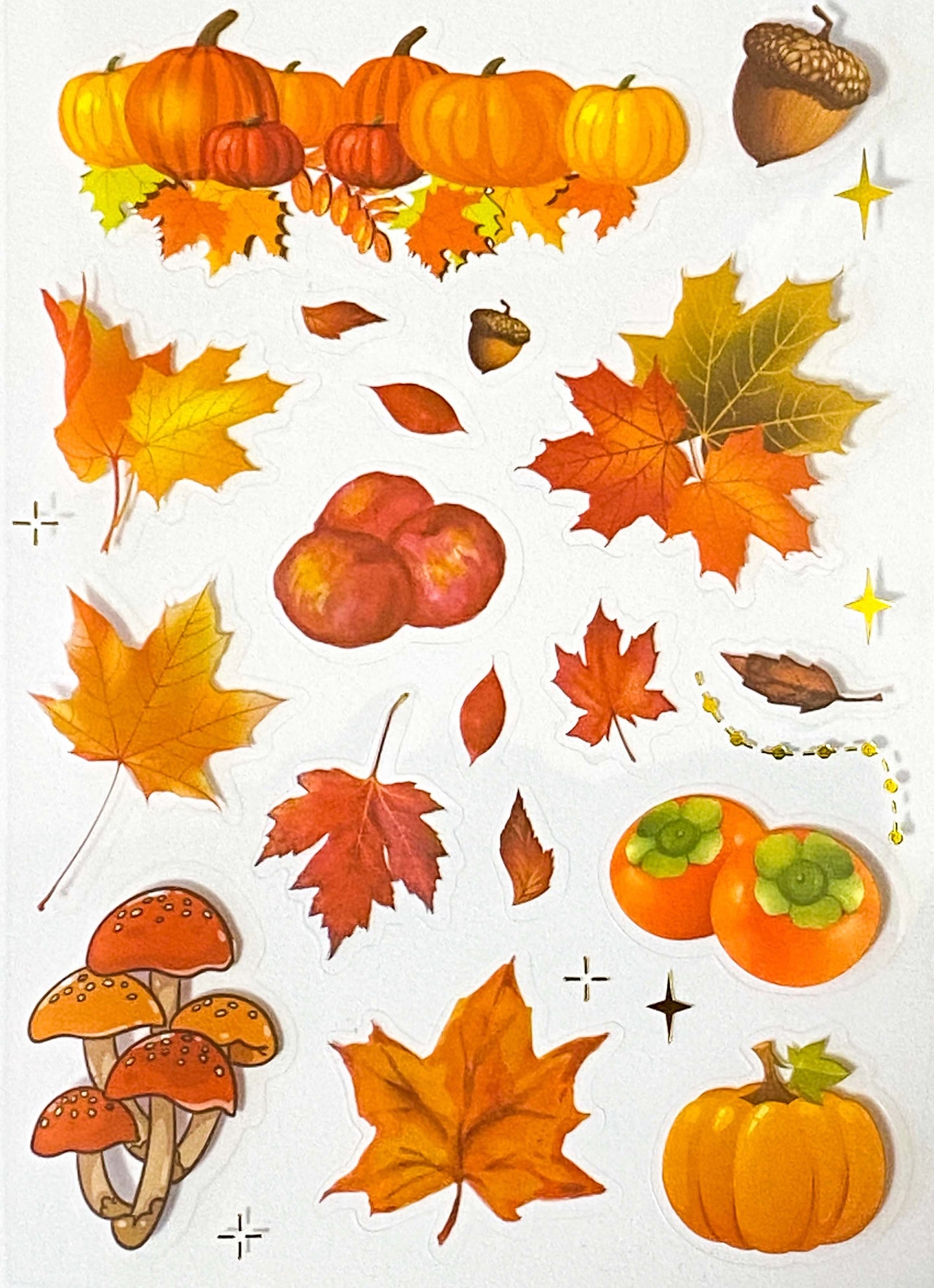 Just 60p! AUTUMN WOODLAND Clear Plastic Sticker Sheet/s 8 or Pack Leaf Leaves