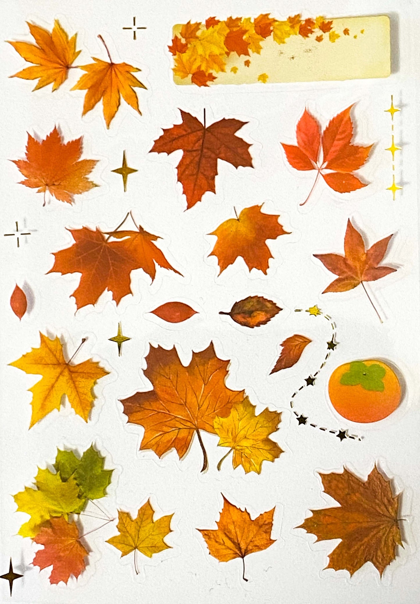 Just 60p! AUTUMN WOODLAND Clear Plastic Sticker Sheet/s 8 or Pack Leaf Leaves